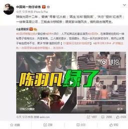 湛江出轨爆料案件最新,真相与争议交织的婚姻悬疑剧