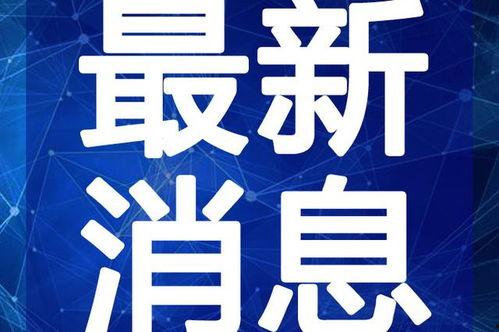 晓鼎爆料视频最新,揭秘娱乐圈惊人内幕！
