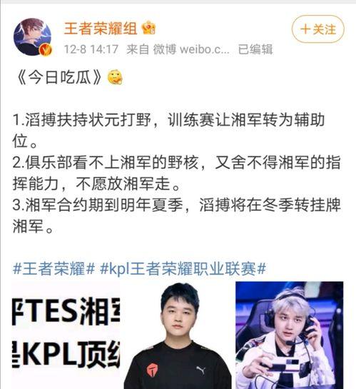 真瓜主爆料陈哥最新章节,真瓜主最新章节揭秘