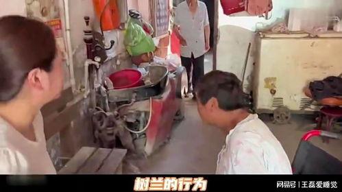 树兰妮娃最新爆料,揭秘娱乐圈惊人内幕
